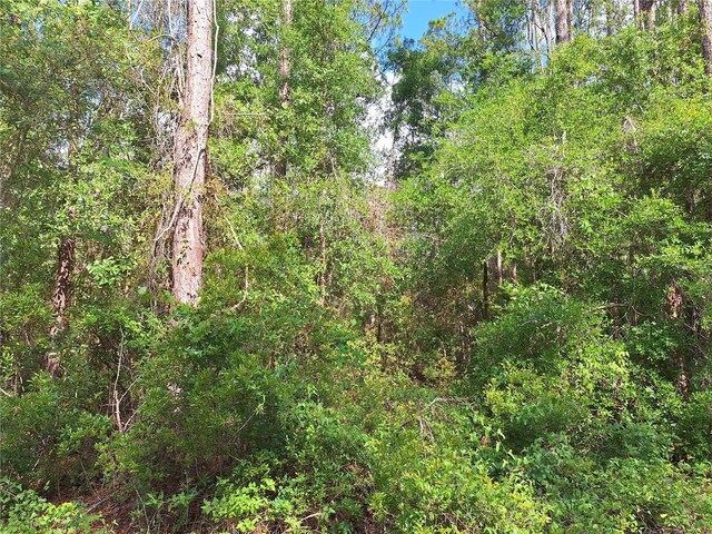 TBD00 NE 512th St, Old Town, FL 32680 - photo 5