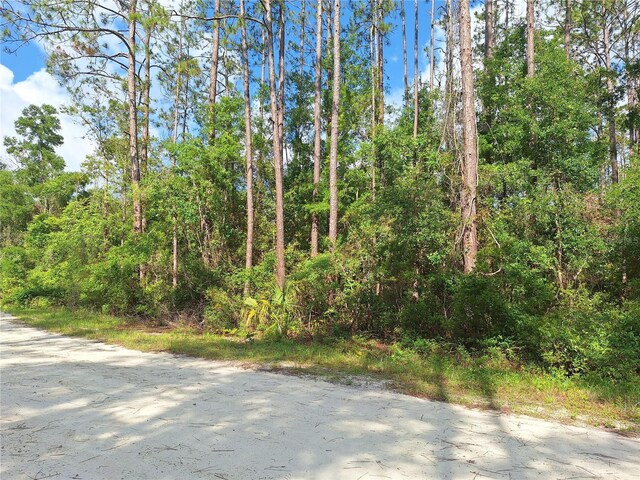 TBD00 NE 512th St, Old Town, FL 32680 - photo 7