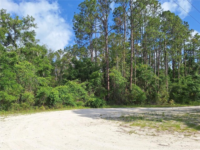 TBD00 NE 512th St, Old Town, FL 32680 - photo 8