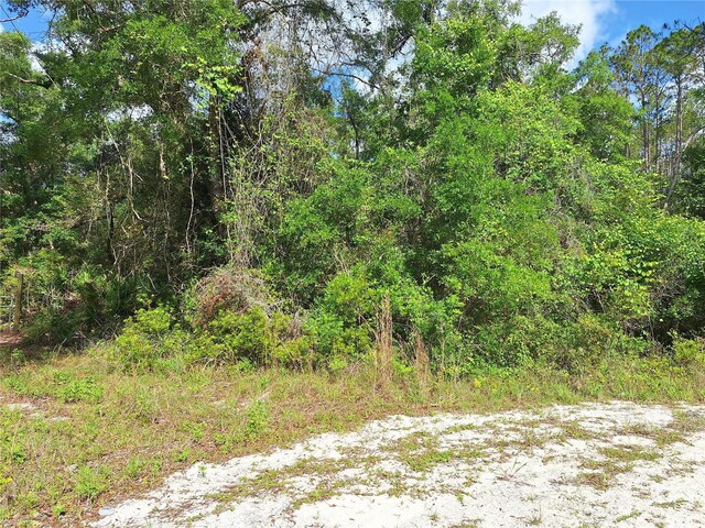 TBD00 NE 512th St, Old Town, FL 32680 - photo 9