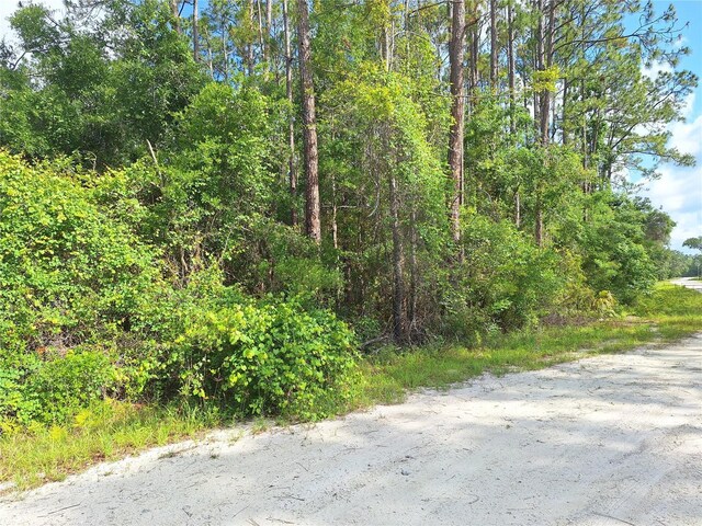 TBD00 NE 512th St, Old Town, FL 32680 - photo 10