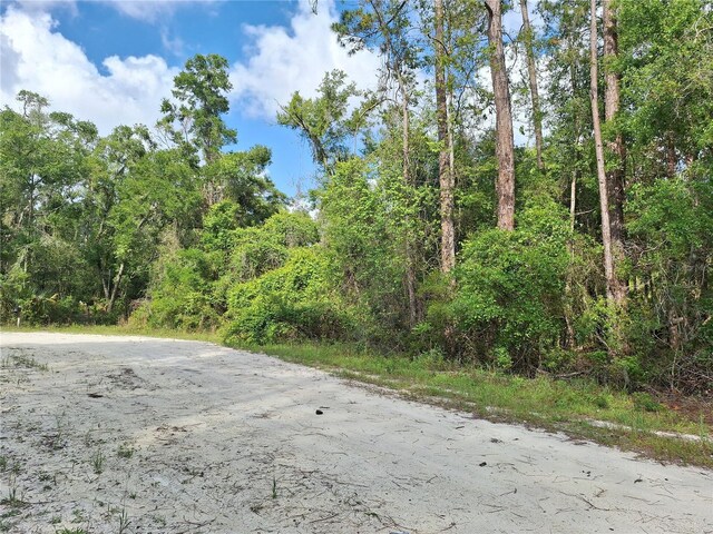 TBD00 NE 512th St, Old Town, FL 32680 - photo 11