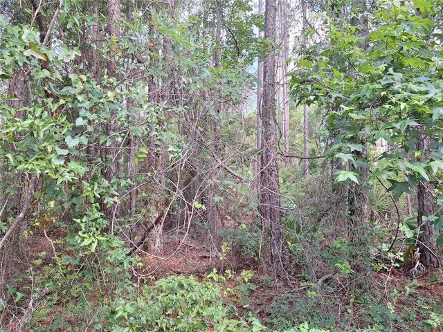 TBD00 NE 512th St, Old Town, FL 32680 - photo 14