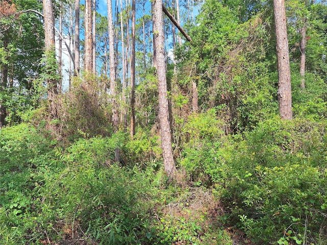 LOT38 NE 512th St, Old Town, FL 32680 - photo 1