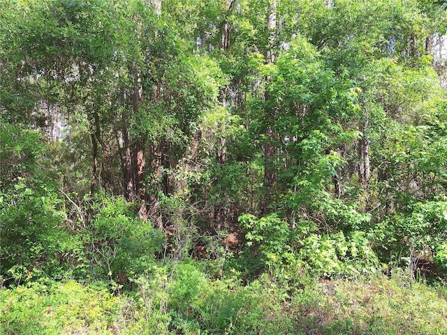 LOT38 NE 512th St, Old Town, FL 32680 - photo 2