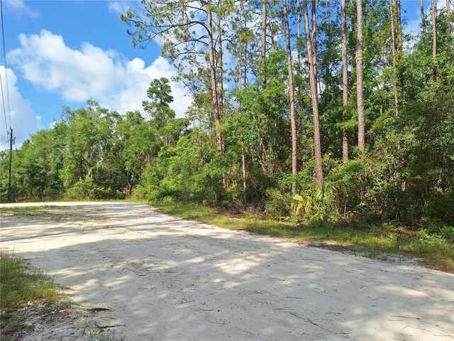 LOT38 NE 512th St, Old Town, FL 32680 - photo 5