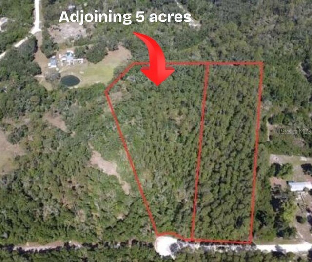 LOT38 NE 512th St, Old Town, FL 32680 - photo 6