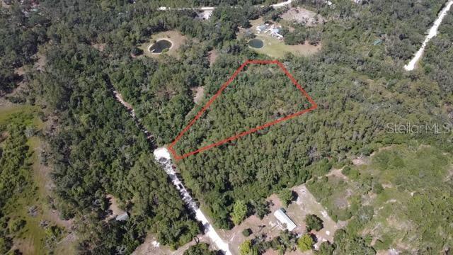 LOT39 NE 512th St, Old Town, FL 32680 - photo 1