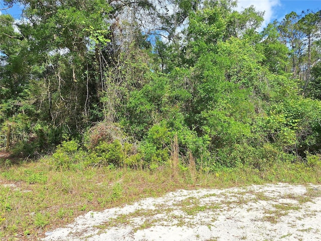 LOT39 NE 512th St, Old Town, FL 32680 - photo 2