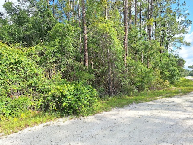 LOT39 NE 512th St, Old Town, FL 32680 - photo 3