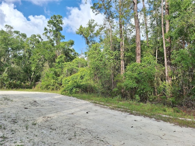 LOT39 NE 512th St, Old Town, FL 32680 - photo 4