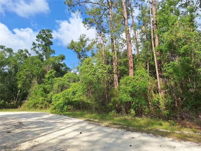 LOT39 NE 512th St, Old Town, FL 32680 - photo 5