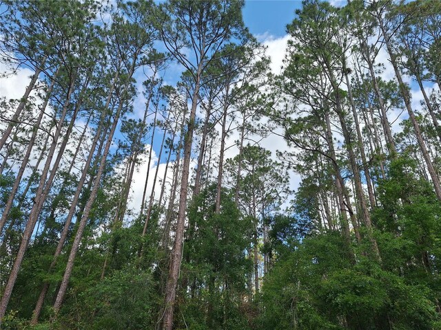 LOT39 NE 512th St, Old Town, FL 32680 - photo 6