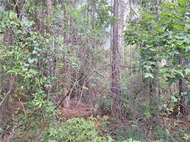 LOT39 NE 512th St, Old Town, FL 32680 - photo 7