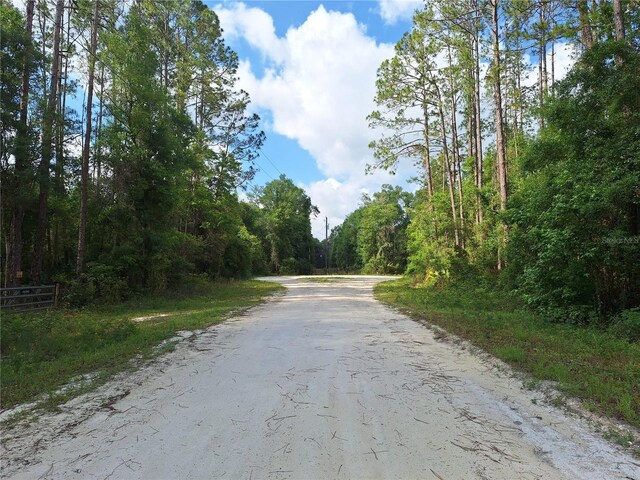LOT39 NE 512th St, Old Town, FL 32680 - photo 8