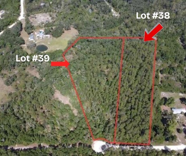 LOT39 NE 512th St, Old Town, FL 32680 - photo 10