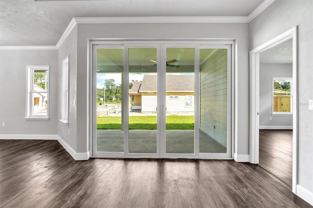 6669 SW 10th Ln, Gainesville, FL 32607 - doorway with baseboards, dark wood-style flooring, and crown molding