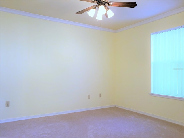 2360 SW Archer Rd Unit 404, Gainesville, FL 32608 - unfurnished room featuring a ceiling fan, light colored carpet, crown molding, and baseboards