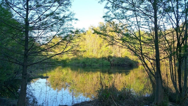 2360 SW Archer Rd Unit 404, Gainesville, FL 32608 - water view with a forest