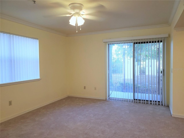 2360 SW Archer Rd Unit 404, Gainesville, FL 32608 - carpeted empty room with ornamental molding, a ceiling fan, and baseboards