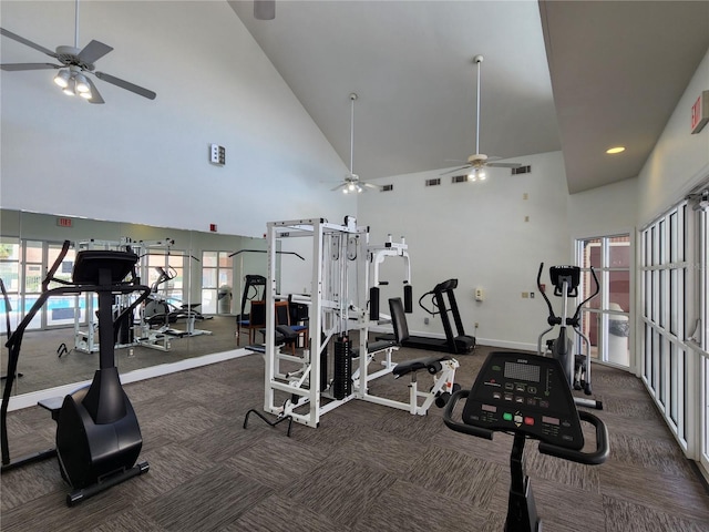 2360 SW Archer Rd Unit 404, Gainesville, FL 32608 - exercise room with ceiling fan, high vaulted ceiling, baseboards, and carpet floors