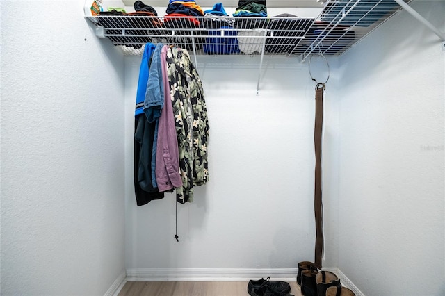 4850 SW 91st Ter Unit P201, Gainesville, FL 32608 - spacious closet with wood finished floors