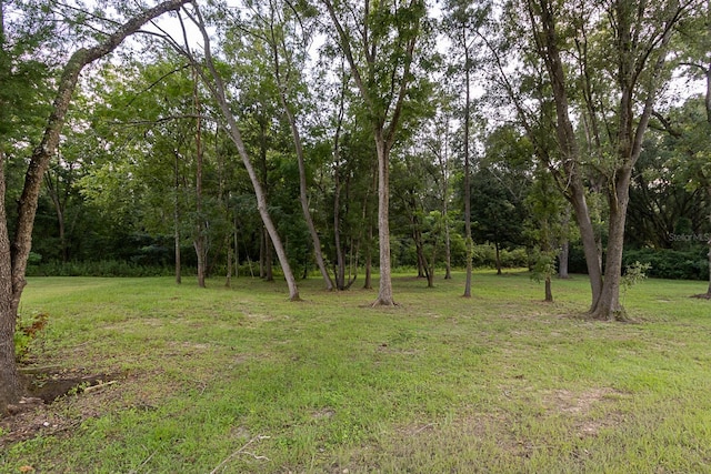 15451 NW 121st Pl, Alachua, FL 32615 - photo 16
