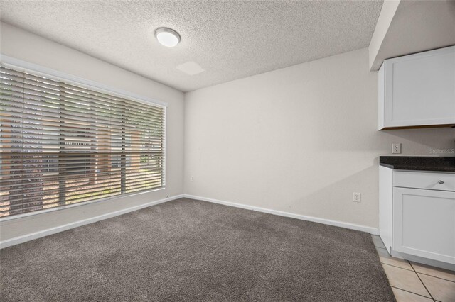 1810 NW 23rd Blvd Unit 203, Gainesville, FL 32605 - unfurnished room featuring a textured ceiling, baseboards, and light colored carpet