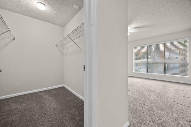 1810 NW 23rd Blvd Unit 203, Gainesville, FL 32605 - walk in closet featuring carpet floors and ceiling fan