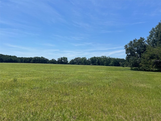 00 NW 165th Ave, High Springs, FL 32643 - photo 6