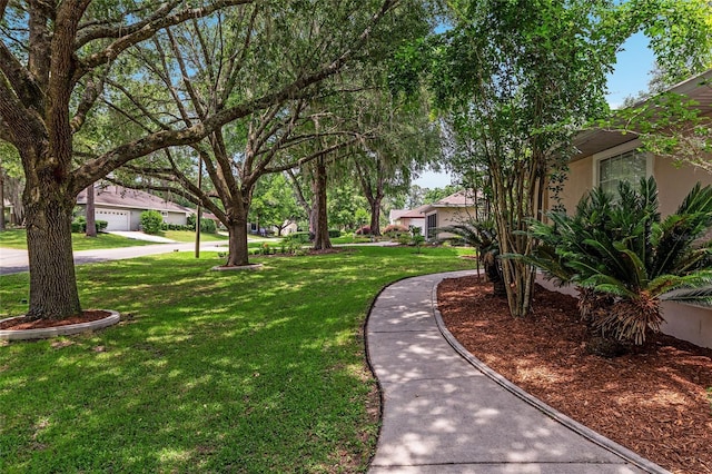 6806 NW 105th Ave, Alachua, FL 32615 - view of green lawn with a garage