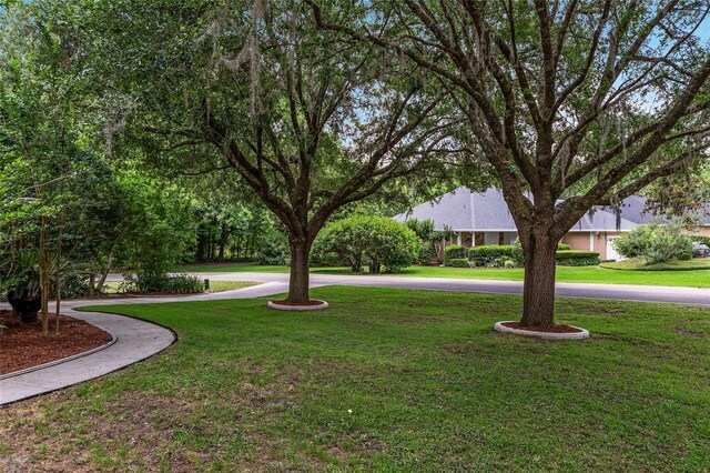 6806 NW 105th Ave, Alachua, FL 32615 - view of green lawn