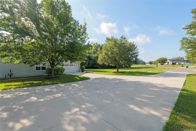 17755 NW 251st Dr, High Springs, FL 32643 - photo 6