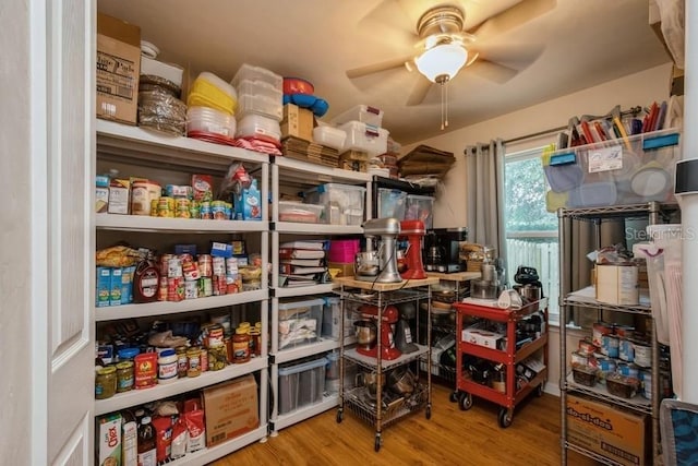 15628 NW 137th Way, Alachua, FL 32615 - view of pantry
