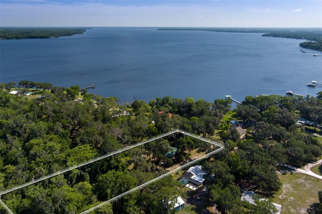 113 Myrtlewood Point Rd, East Palatka, FL 32131 - aerial view of property and surrounding area with property parcel outlined and a nearby body of water