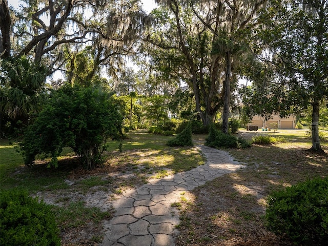 113 Myrtlewood Point Rd, East Palatka, FL 32131 - view of yard