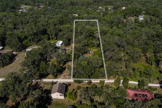 113 Myrtlewood Point Rd, East Palatka, FL 32131 - aerial overview of property's location featuring a forest and property boundaries highlighted