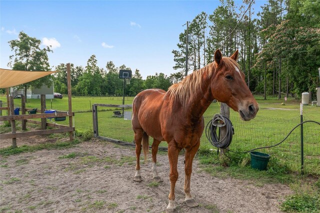 2672 SW County Road 778, Fort White, FL 32038 - photo 47