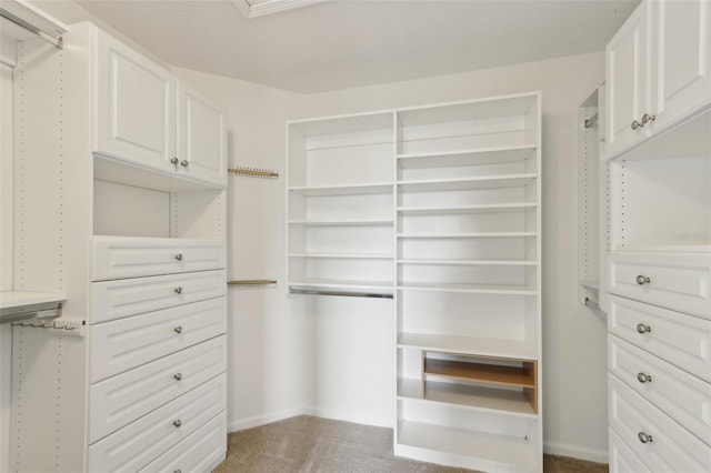 1726 Chatham Village Dr, Fleming Island, FL 32003 - spacious closet featuring carpet