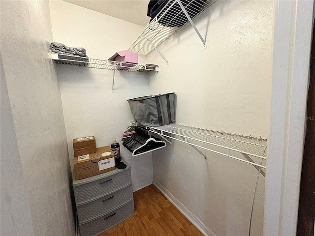 4000 SW 23rd St Unit 3-205, Gainesville, FL 32608 - spacious closet featuring wood finished floors