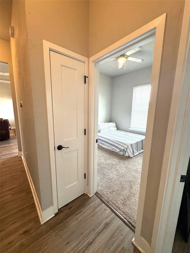 6180 SW 83rd Pl, Trenton, FL 32693 - hallway with wood finished floors and baseboards