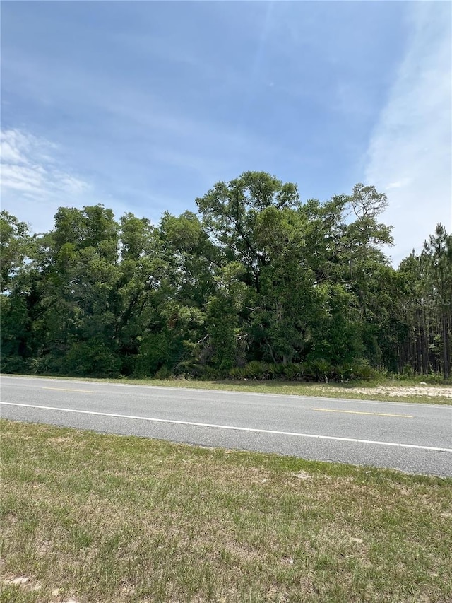 00 NE 349th Hwy, Old Town, FL 32680 - photo 3