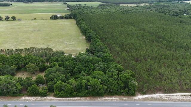 00 NE 349th Hwy, Old Town, FL 32680 - photo 4