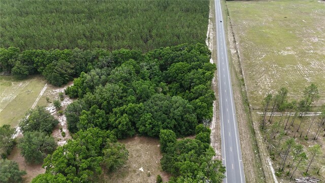 00 NE 349th Hwy, Old Town, FL 32680 - photo 5