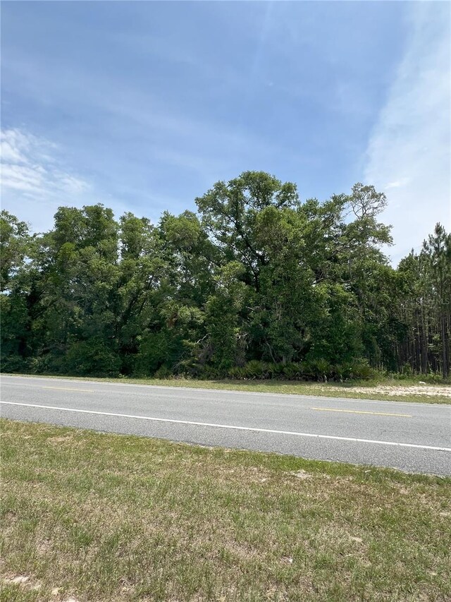 00 NE 349th Hwy, Old Town, FL 32680 - photo 7