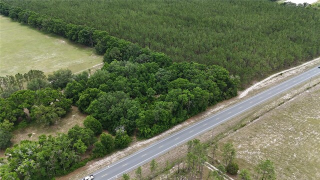00 NE 349th Hwy, Old Town, FL 32680 - photo 9