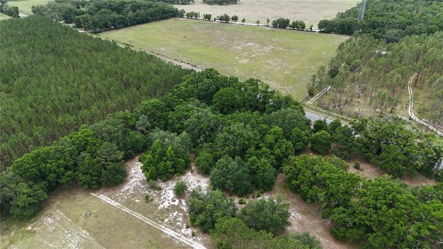 00 NE 349th Hwy, Old Town, FL 32680 - photo 10