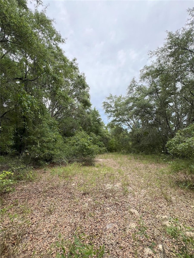 00 NE 349th Hwy, Old Town, FL 32680 - photo 12