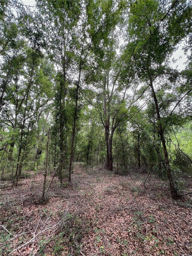 00 NE 349th Hwy, Old Town, FL 32680 - photo 14