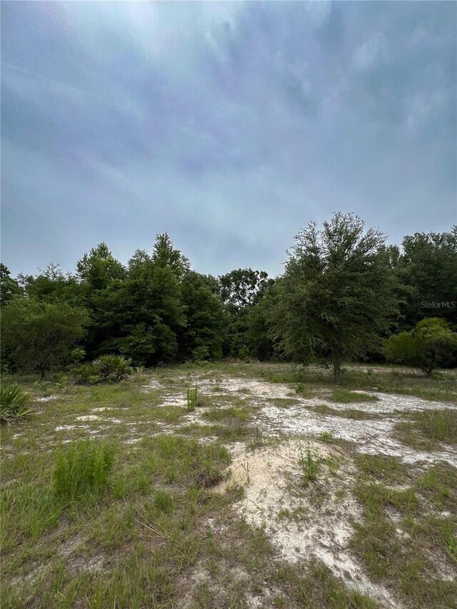 00 NE 349th Hwy, Old Town, FL 32680 - photo 15